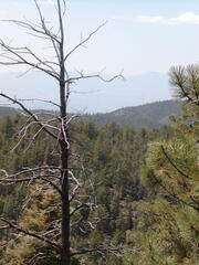 Image file: photo05.jpg