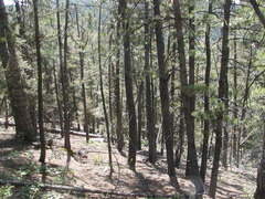 Image file: photo06.jpg