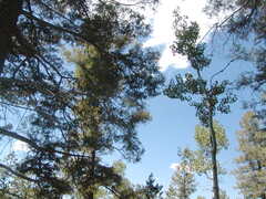 Image file: photo10.jpg