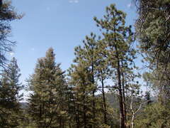 Image file: photo14.jpg