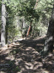 Image file: photo15.jpg