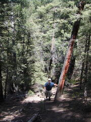 Image file: photo16.jpg