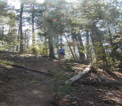 Image file: photo20.jpg