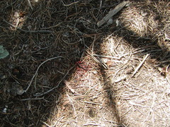 Image file: photo23.jpg