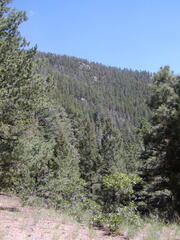 Image file: photo25.jpg