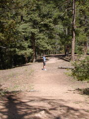 Image file: photo26.jpg