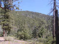 Image file: photo28.jpg