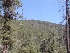 Image file: photo29.jpg