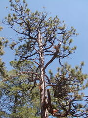 Image file: photo30.jpg