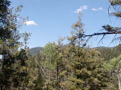 Image file: photo31.jpg