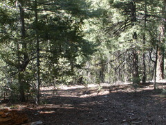 Image file: photo32.jpg