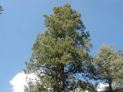 Image file: photo34.jpg