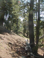 Image file: photo35.jpg