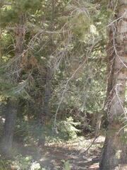 Image file: photo45.jpg