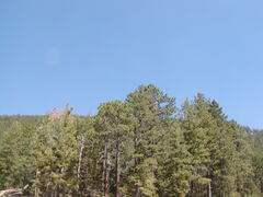 Image file: photo48.jpg