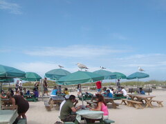 Image file: photo02.jpg