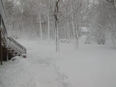 Image file: photo02.jpg