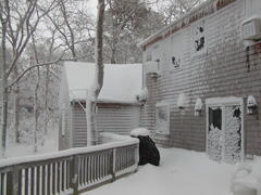 Image file: photo05.jpg