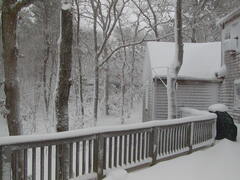 Image file: photo07.jpg