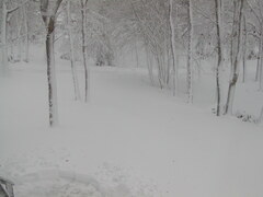 Image file: photo08.jpg