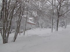 Image file: photo12.jpg