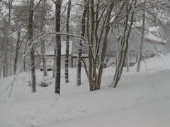 Image file: photo13.jpg