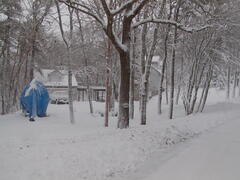 Image file: photo15.jpg