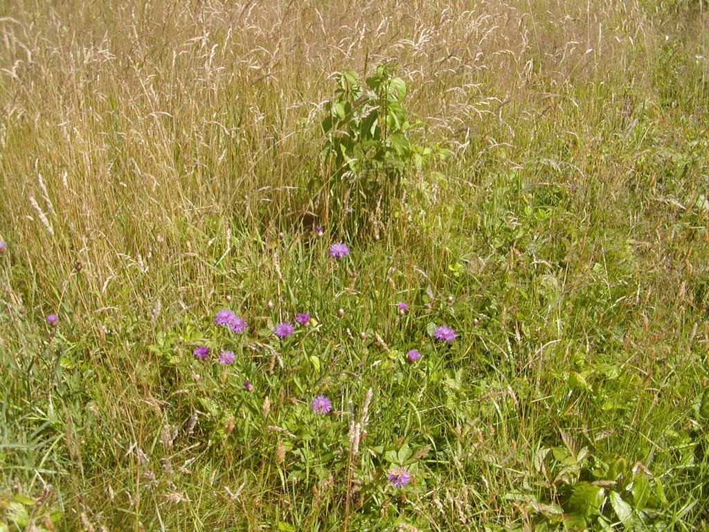 No description provided for: /2009/0715-fort-hill/_1/photo02.html