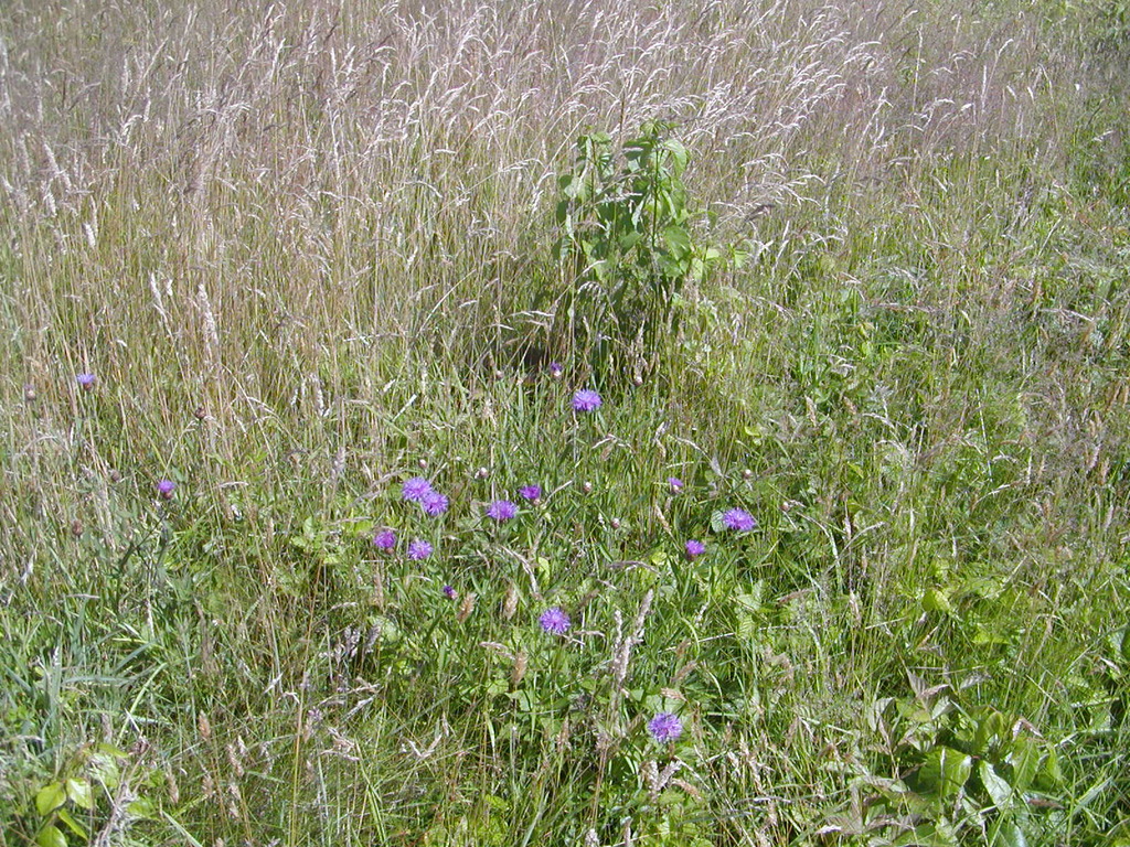 No description provided for: /2009/0715-fort-hill/_1/photo03.html