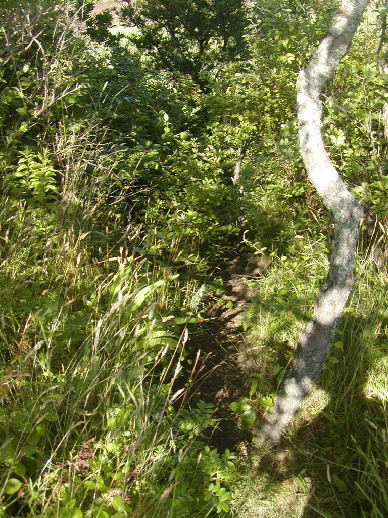 No description provided for: /2009/0715-fort-hill/_1/photo08.html