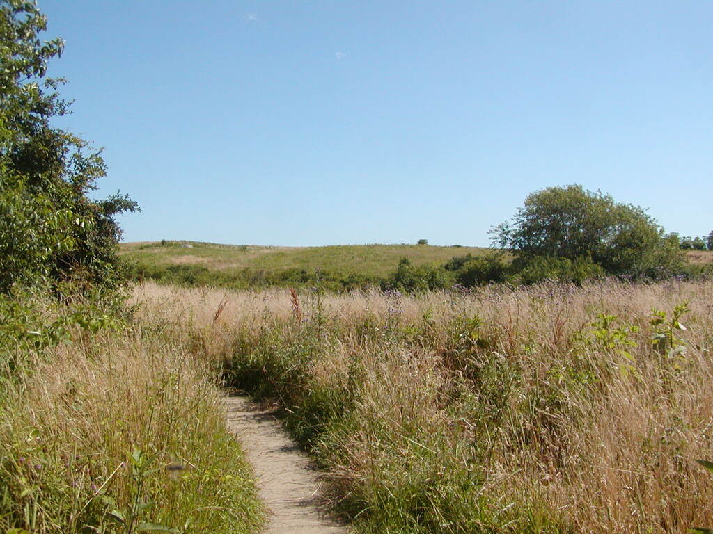 No description provided for: /2009/0715-fort-hill/_1/photo12.html