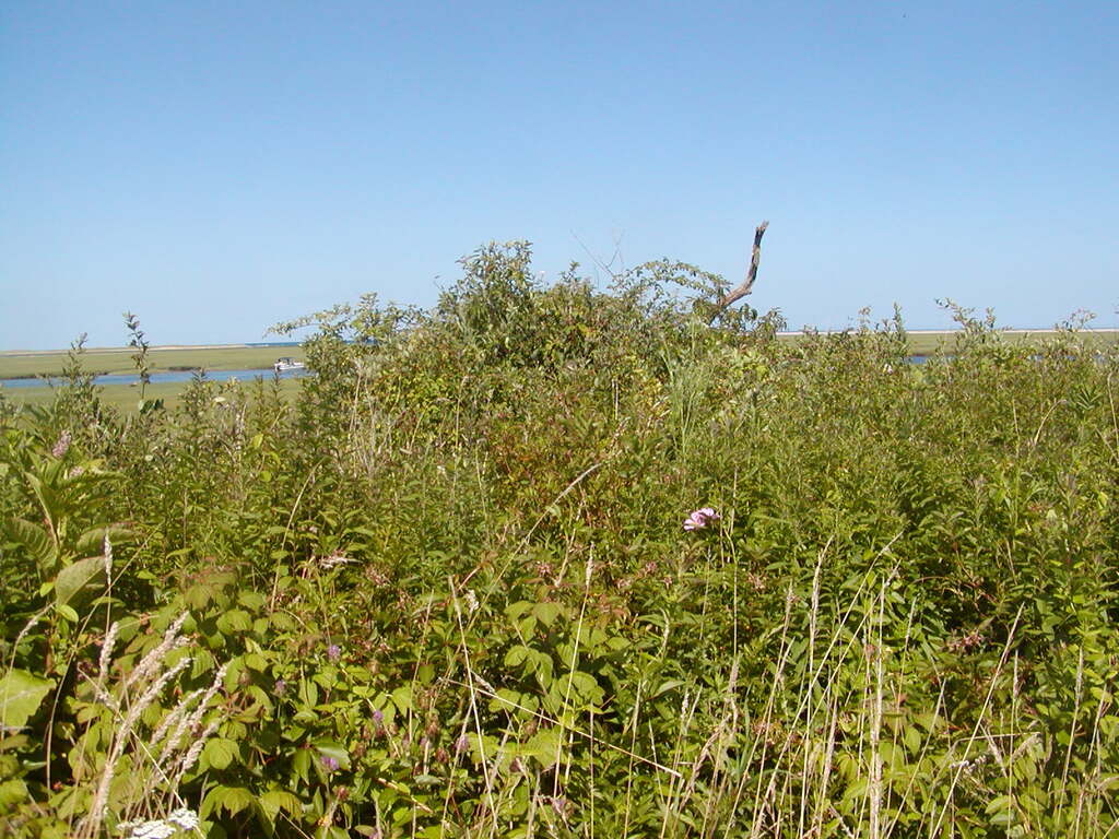 No description provided for: /2009/0715-fort-hill/_1/photo13.html