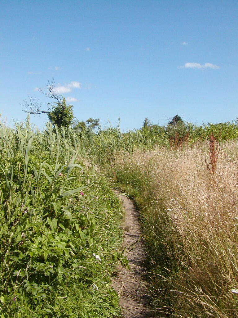 No description provided for: /2009/0715-fort-hill/_1/photo15.html