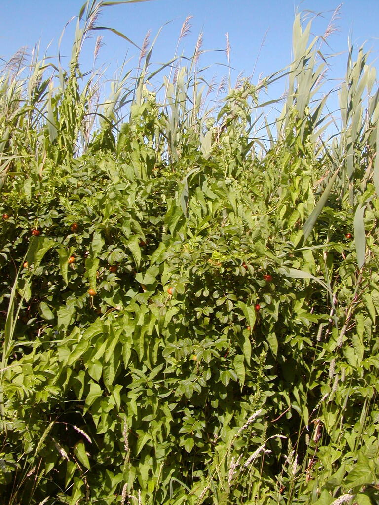 No description provided for: /2009/0715-fort-hill/_1/photo16.html