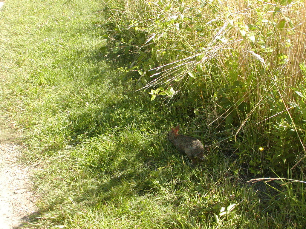 No description provided for: /2009/0715-fort-hill/_1/photo19.html