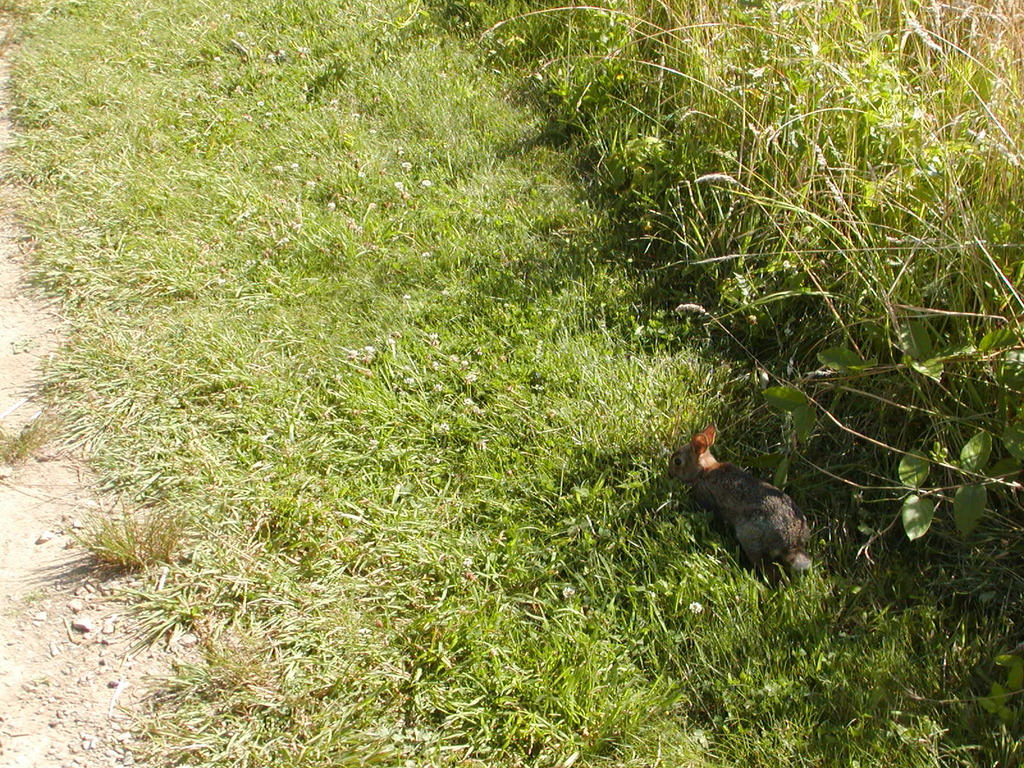 No description provided for: /2009/0715-fort-hill/_1/photo20.html