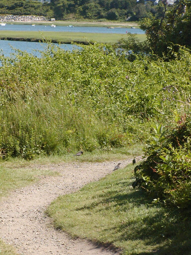 No description provided for: /2009/0715-fort-hill/_2/photo25.html