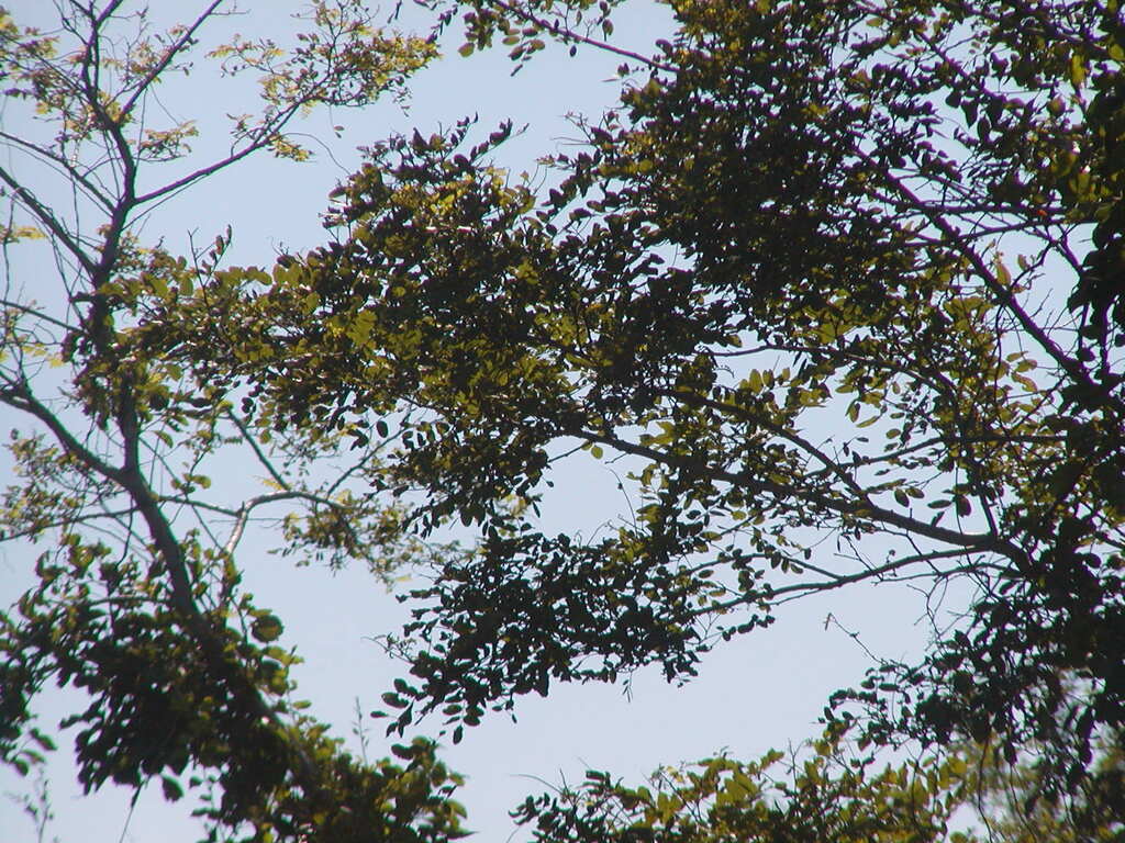 No description provided for: /2009/0715-fort-hill/_2/photo28.html