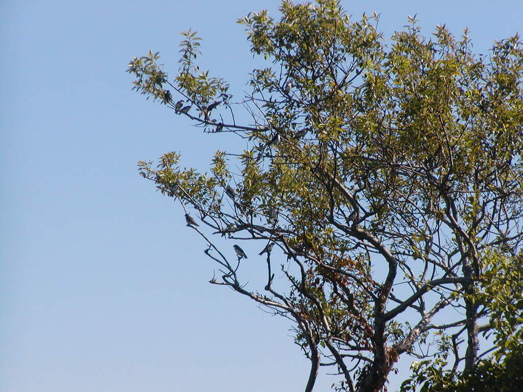 No description provided for: /2009/0715-fort-hill/_2/photo29.html