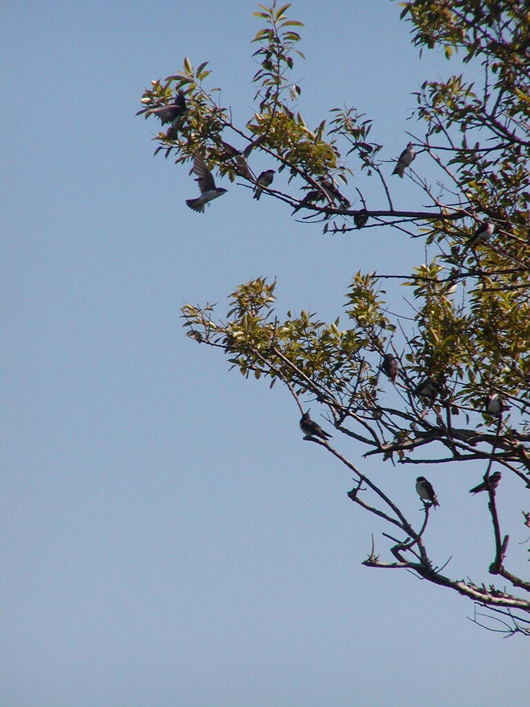 No description provided for: /2009/0715-fort-hill/_2/photo30.html