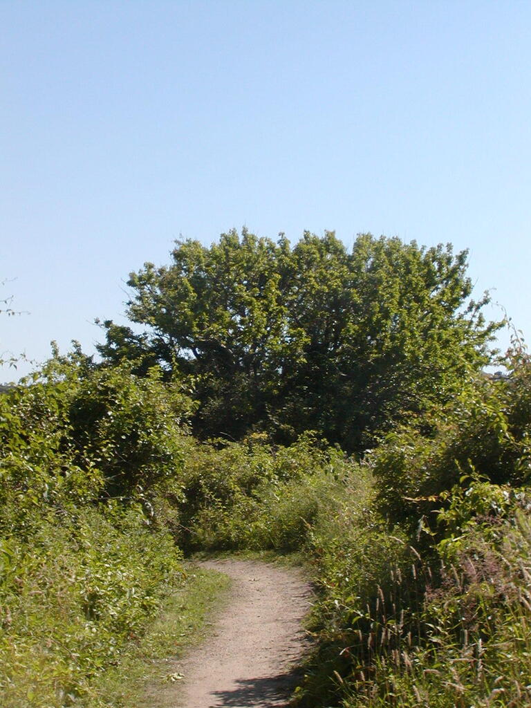 No description provided for: /2009/0715-fort-hill/_2/photo34.html