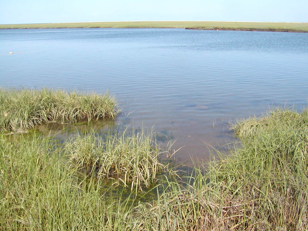 No description provided for: /2009/0715-fort-hill/_2/photo35.html