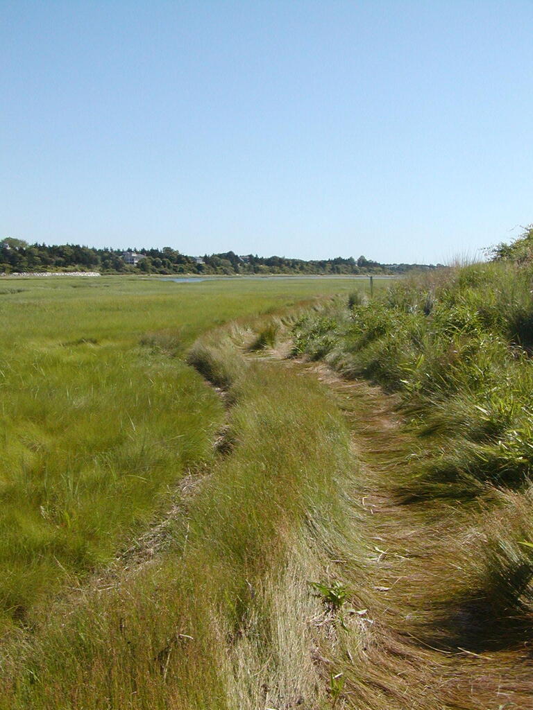 No description provided for: /2009/0715-fort-hill/_2/photo36.html