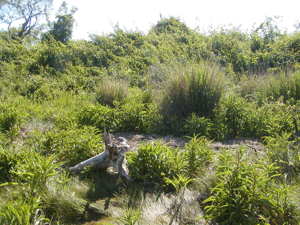 No description provided for: /2009/0715-fort-hill/_2/photo41.html