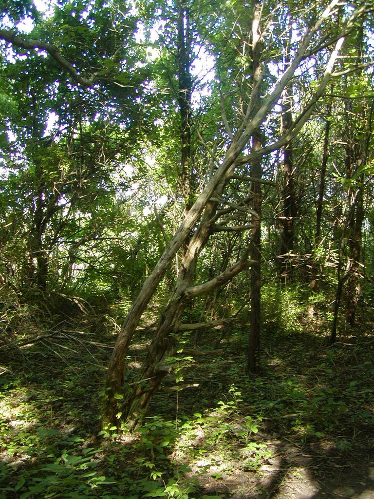 No description provided for: /2009/0715-fort-hill/_2/photo43.html