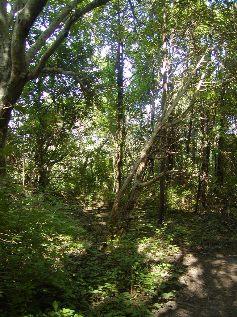 No description provided for: /2009/0715-fort-hill/_2/photo44.html