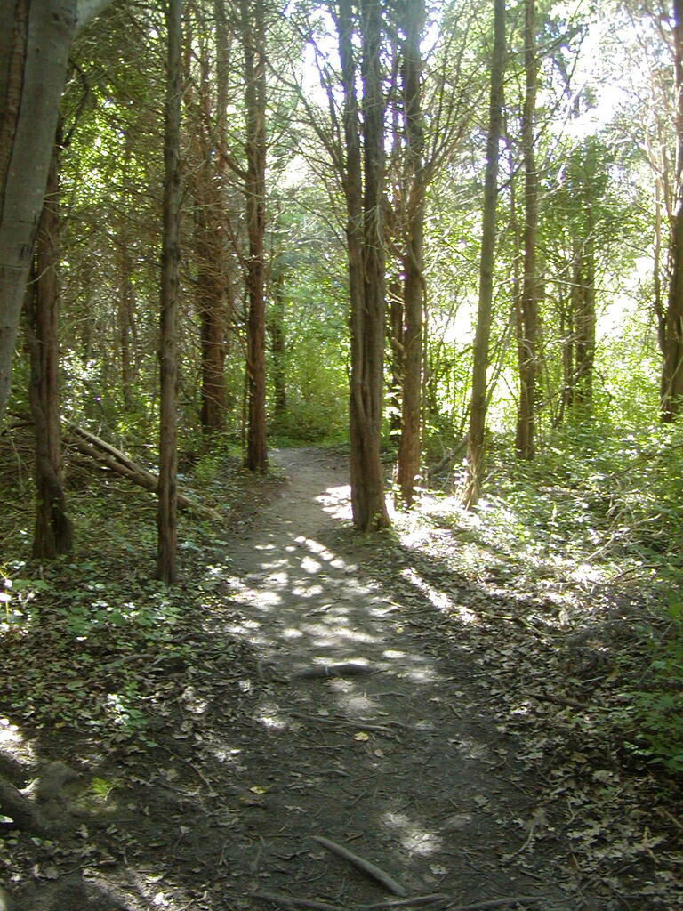 No description provided for: /2009/0715-fort-hill/_3/photo45.html