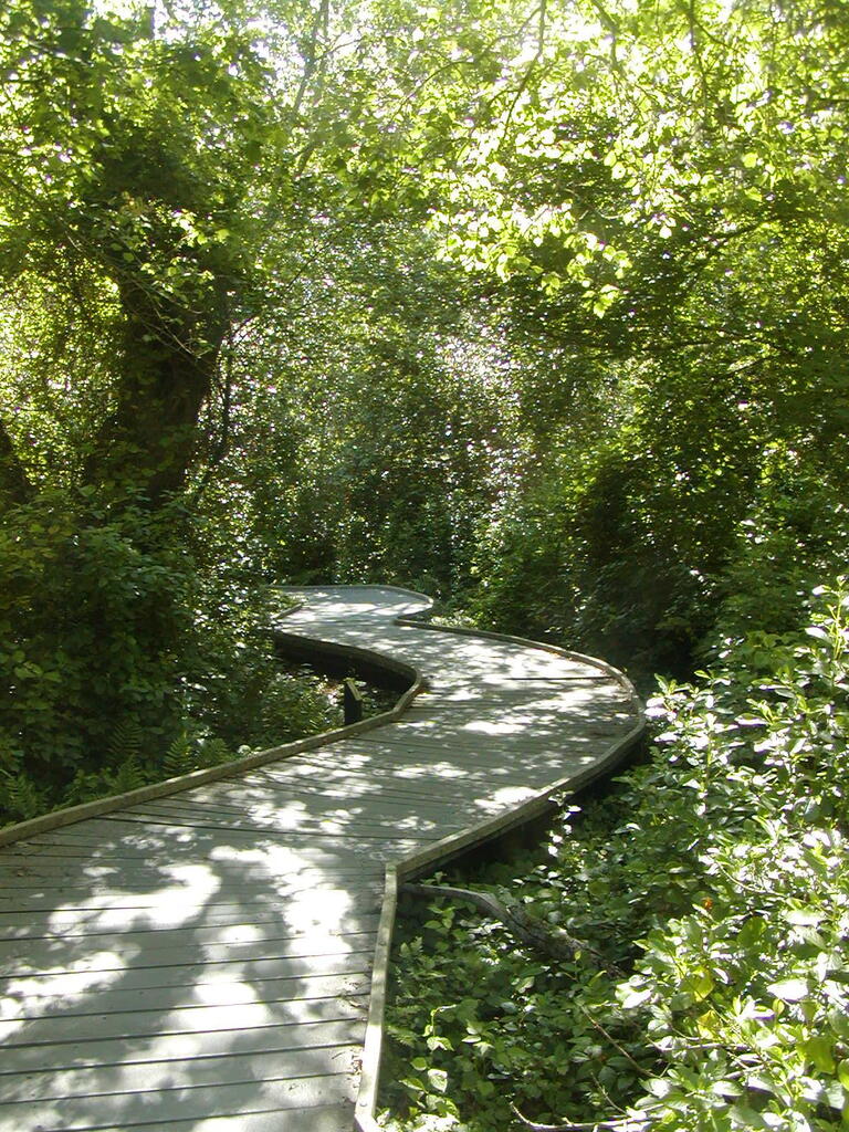 No description provided for: /2009/0715-fort-hill/_3/photo52.html