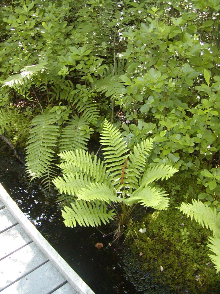 No description provided for: /2009/0715-fort-hill/_3/photo54.html