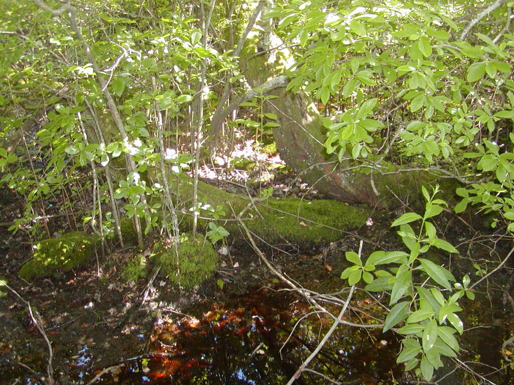 No description provided for: /2009/0715-fort-hill/_3/photo55.html